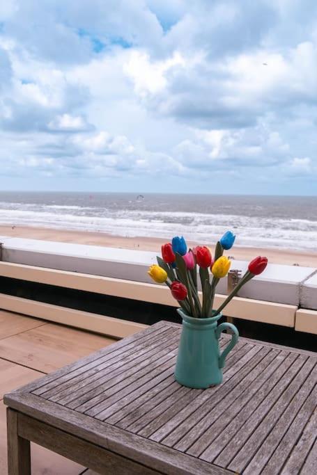 Kraaiennest Apartment Egmond aan Zee Luaran gambar