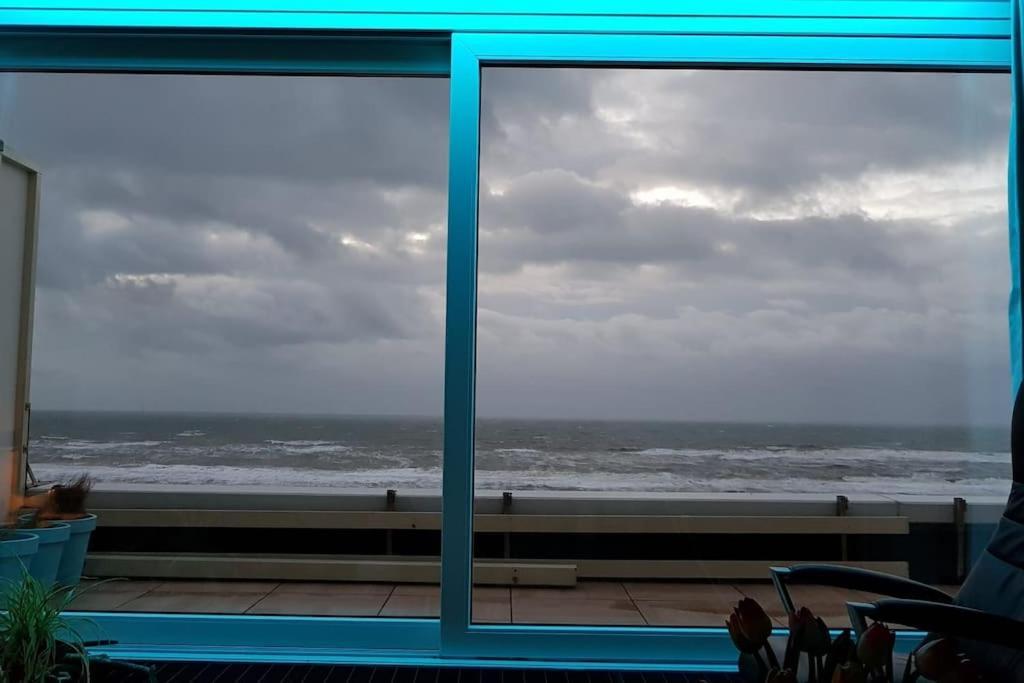Kraaiennest Apartment Egmond aan Zee Luaran gambar