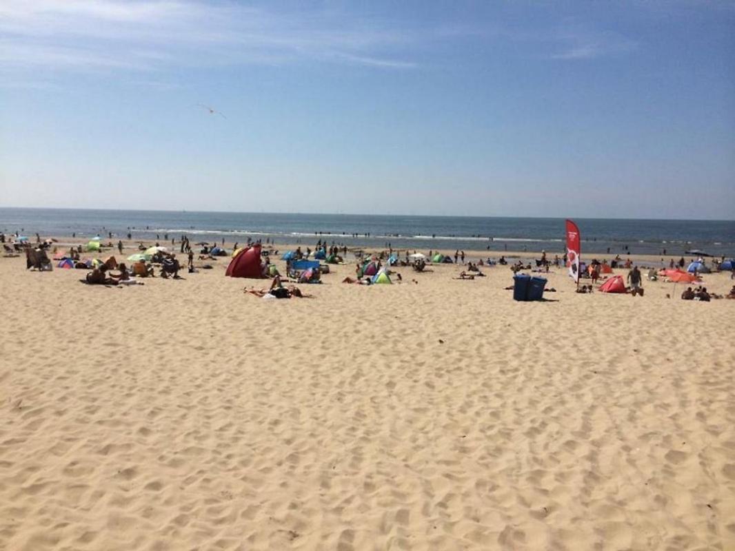 Kraaiennest Apartment Egmond aan Zee Luaran gambar
